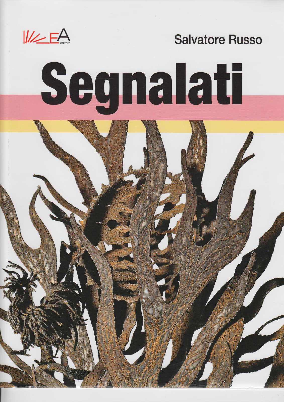 Segnalati 2012