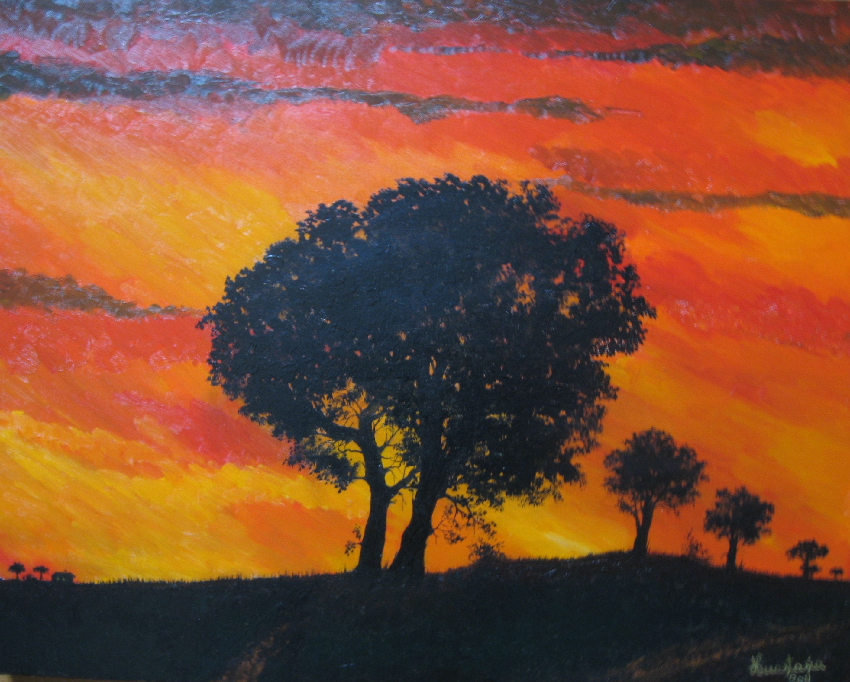 Tramonto con quercia