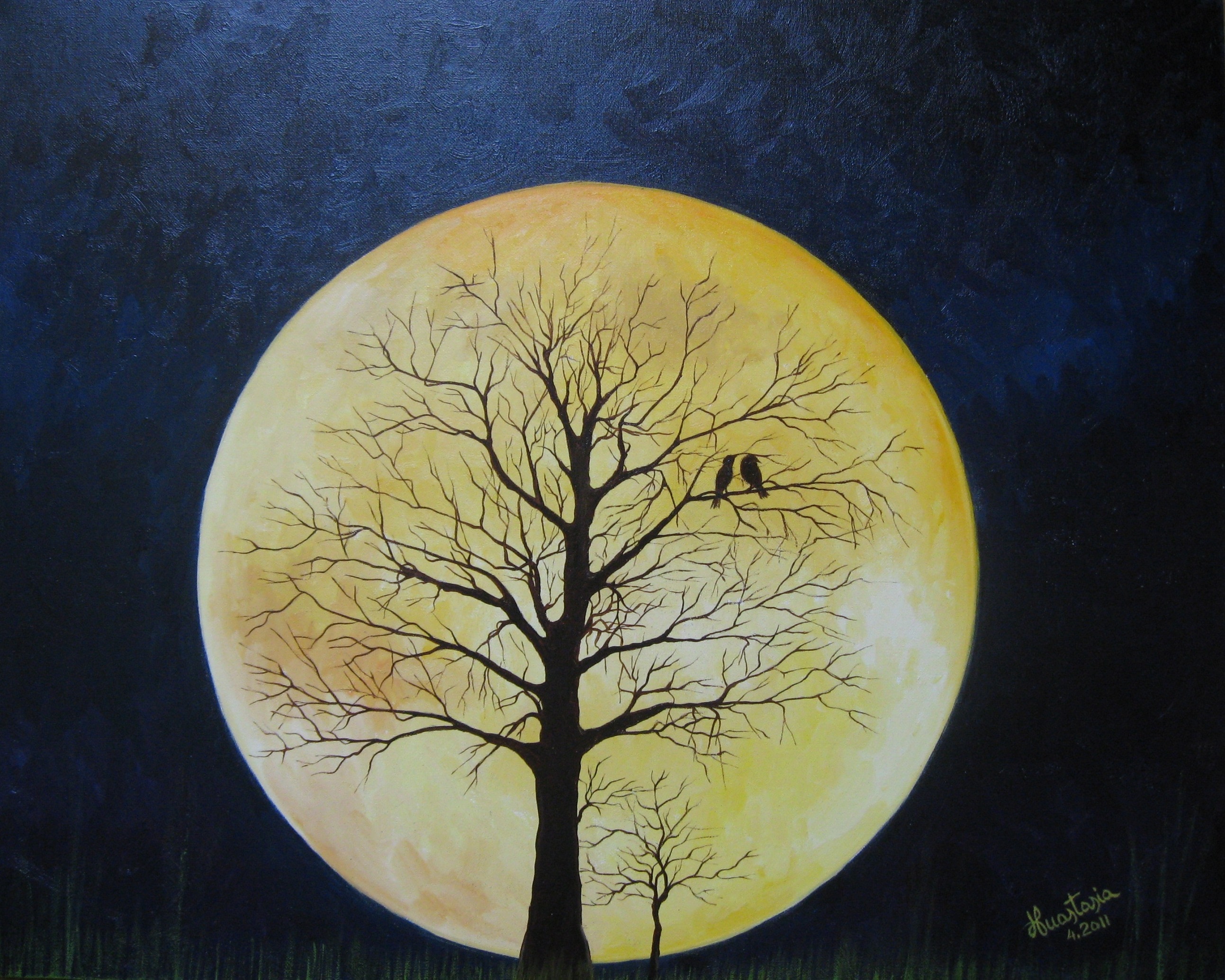 Superluna ( perigeo lunare 19.03.2011)