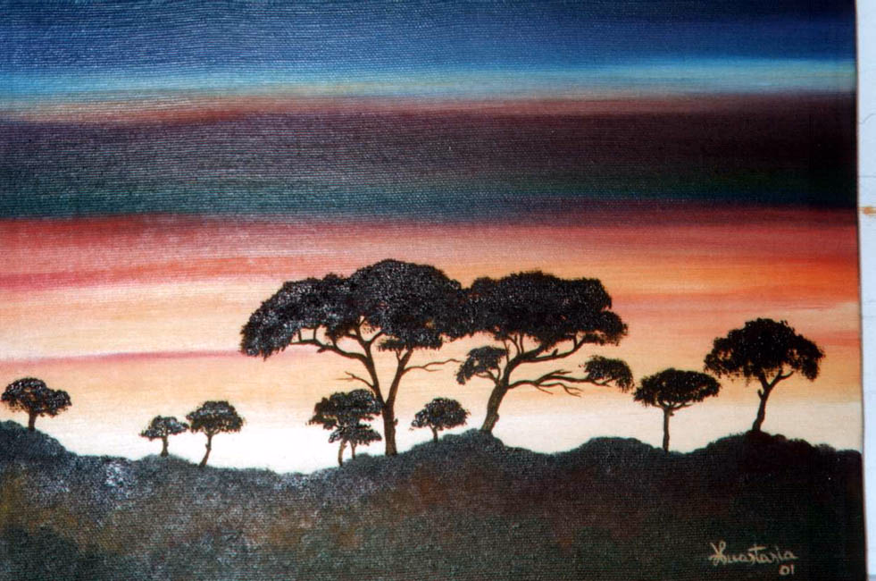 Tramonto con pini
