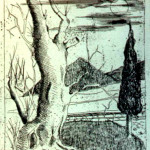 L'albero secolare - 1967, Incisione su zinco, 20x25. Collezione privata